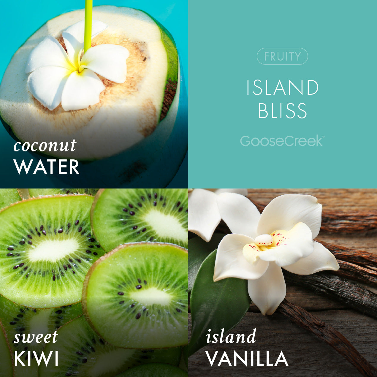 Island Bliss Odor Eliminating Wax Melt - Image 2