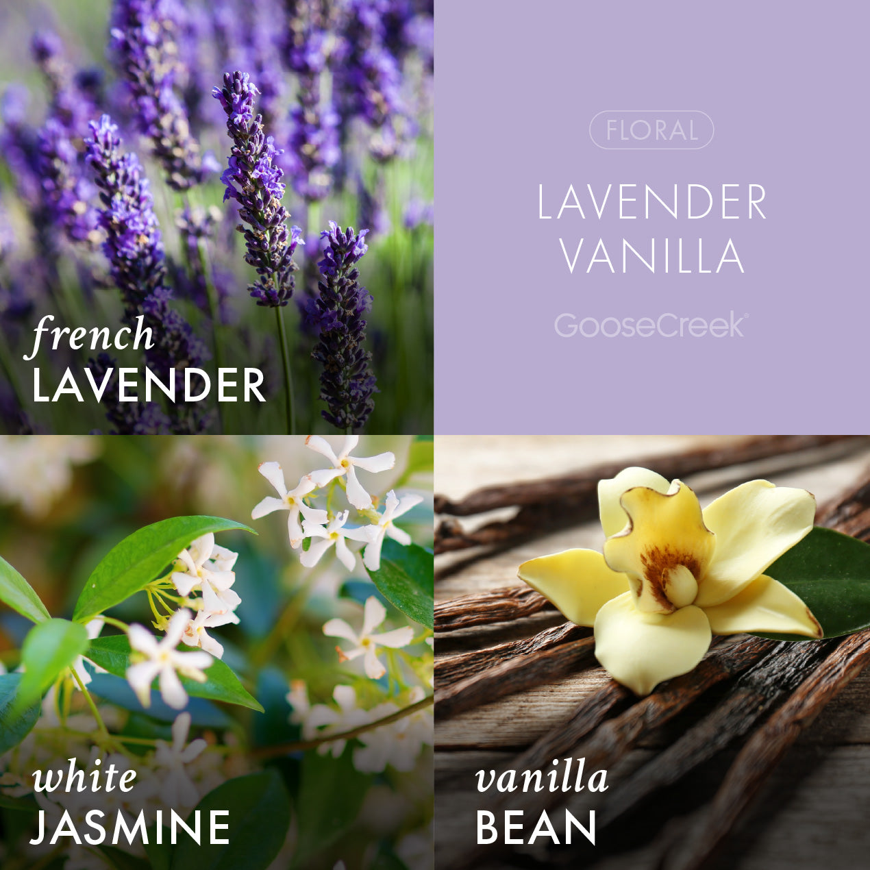 Lavender Vanilla Odor Eliminating Plug-in Refill - Image 2