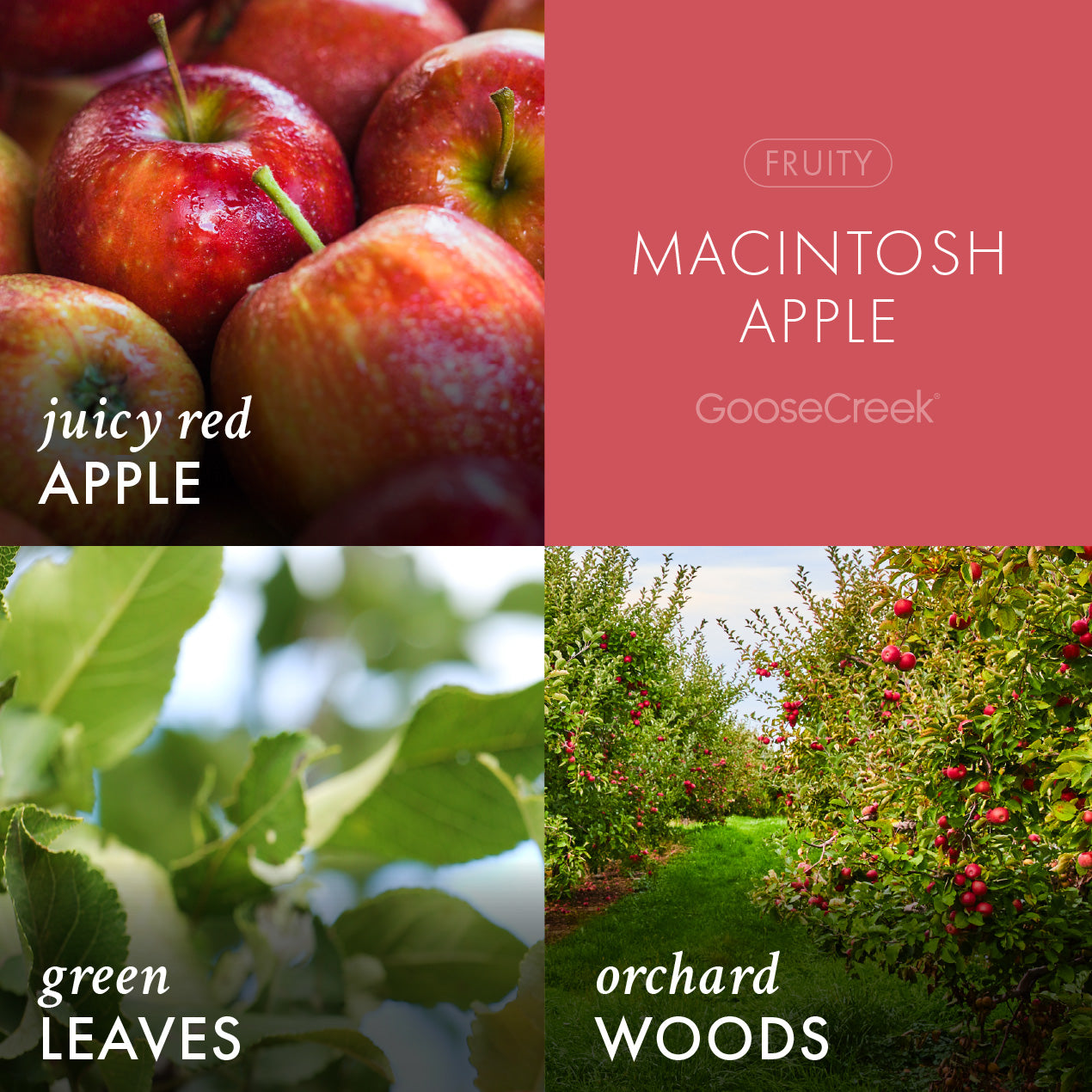 Macintosh Apple Plug-in Refill - Image 2